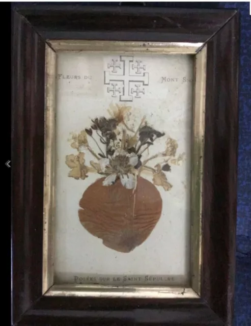 Antique pressed FLOWERS OF MOUNT SION FLOWERS FROM THE HOLY LAND