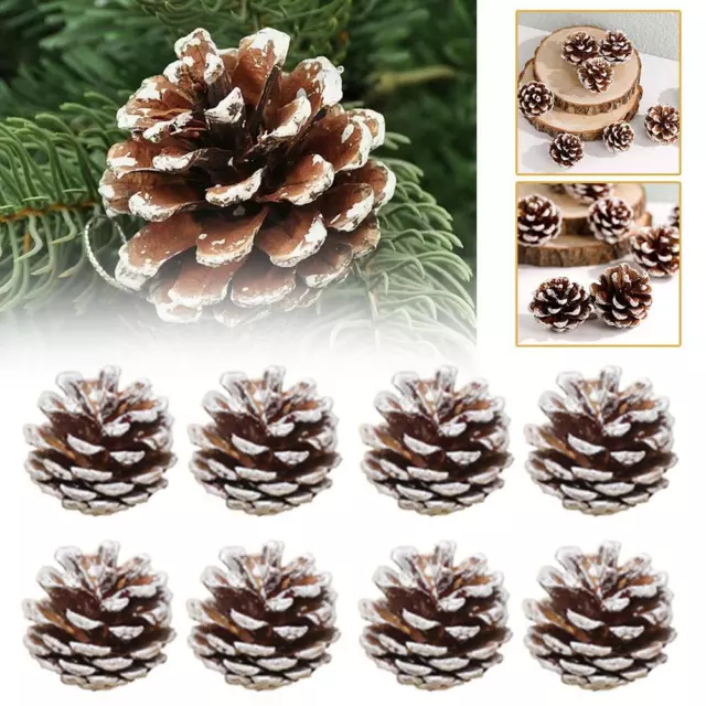 8x Pine Cones Christmas Wreath Making Supplies DIY Nat✨. Frosted Décor O1C5