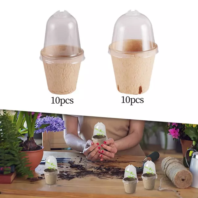 10pcs jardinière pot de culture pot de jardinage avec dôme pépinière tasse