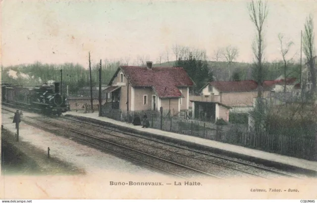 91 - BUNO BONNEVAUX - S13269 - La Halte - Train - En l'�tat D�coll�e - L1