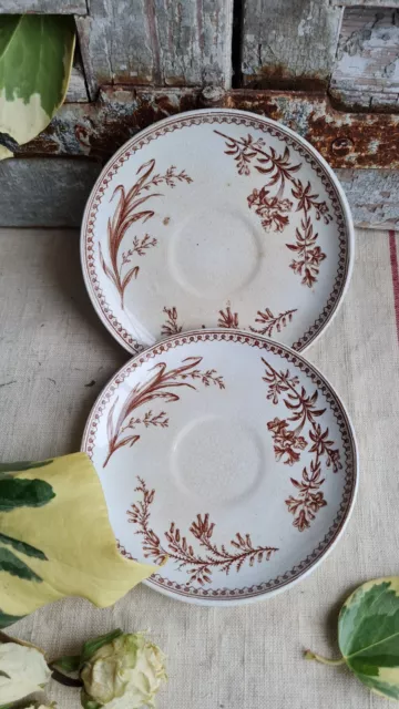 2 Anciennes Sous Tasse A Cafe Terre De Fer Claremont  Brun Decor Herbier