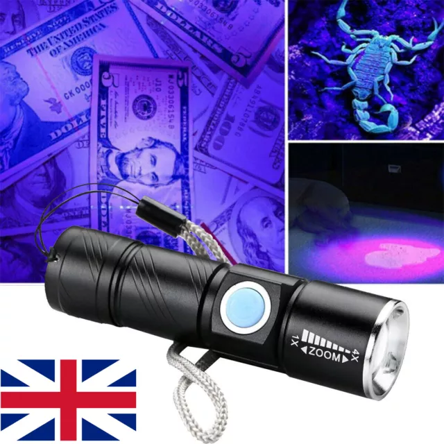 UV Torch Ultra Violet USB LED Flashlight Rechargeable Blacklight Inspection Lamp