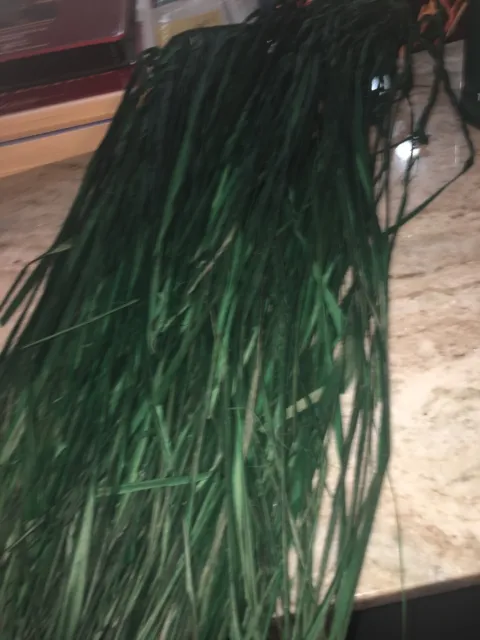 green xxs/ junior luau hula skirt straw