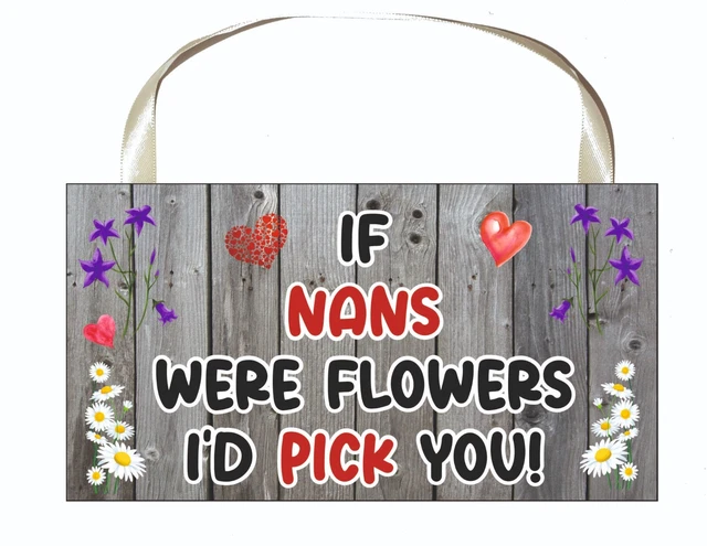 Nan Plakette - Wenn Nans Were Flowers I'd Pick You - Lustige süße Neuheit Geschenk 2