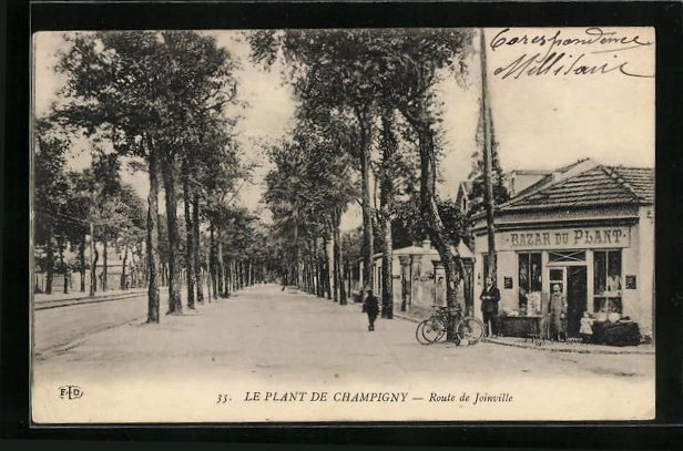 CPA Le Plant de Champigny, Route de Joinville