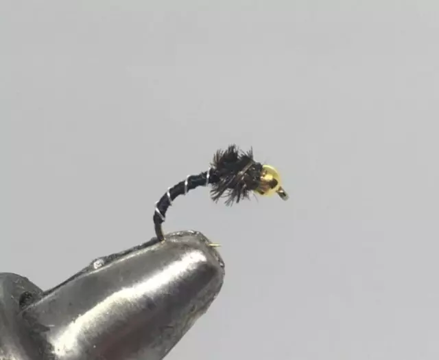 One Dozen (12) - Tungsten Beadhead Zebra Midge - Black/Peacock - Nymph