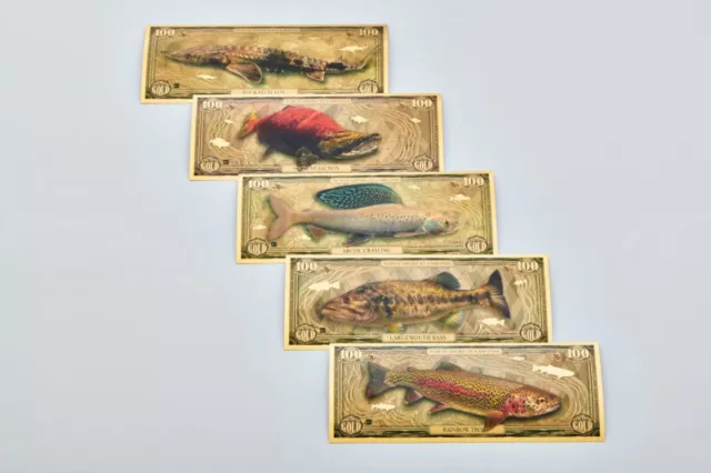 2023 North American Game Fish Gold Aurum Note Set