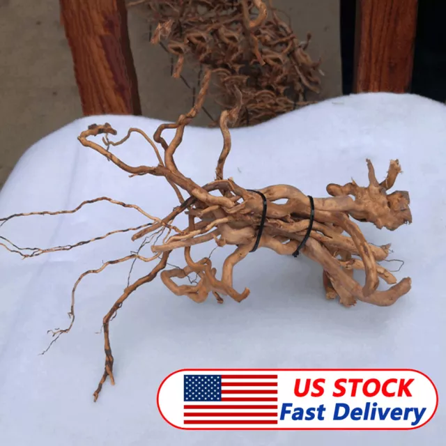 Natural Driftwood Aquarium Root Trunk Tree Fish Tank Landscape Plant Home Decor