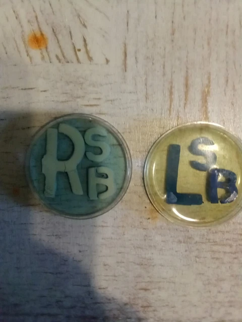 Xray Markers With Initials SB Only