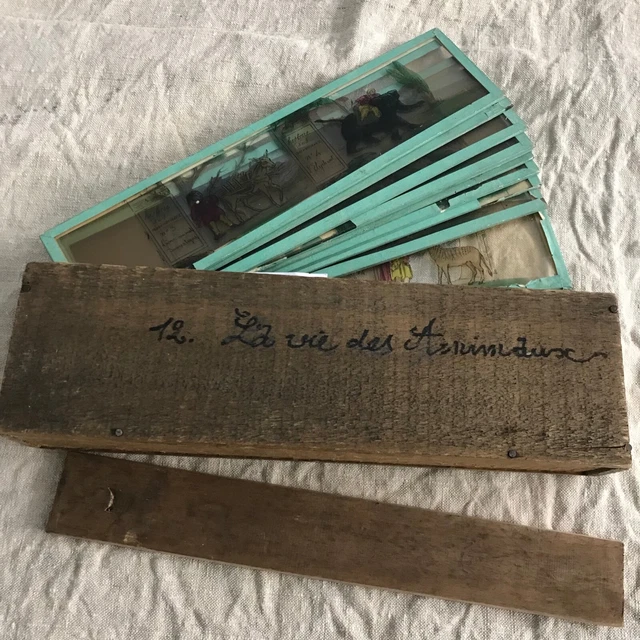 Plaques De Verre Pour Lanterne Magique – Conte Le Petit Poucet, Vintage