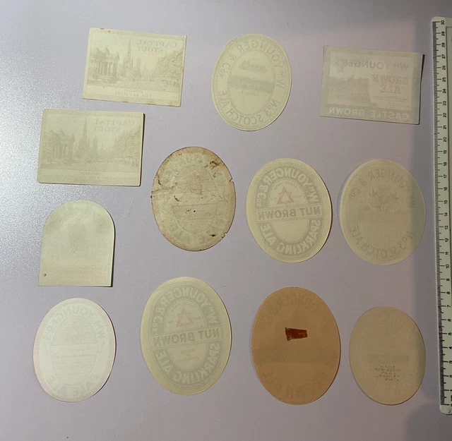 12 Old William Younger Edinburgh Brewery Beer Labels Inc Mixed Bottlers Lot 5 12