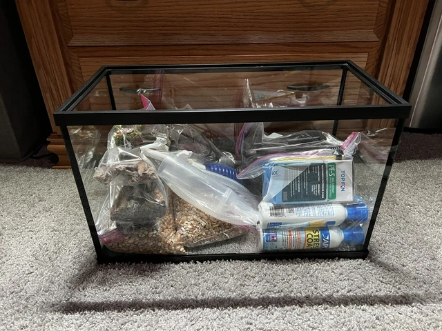 10 Gallon Fish Tank Starter Kit - Everything You’ll Need to Start Adding Fish