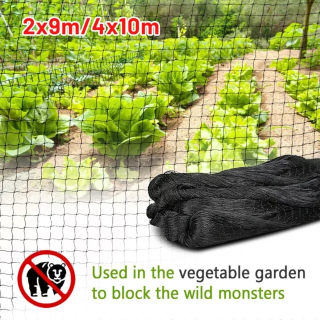 Filet Protection Jardin 4X10m - Filet Cloture pour Légumes Fruits