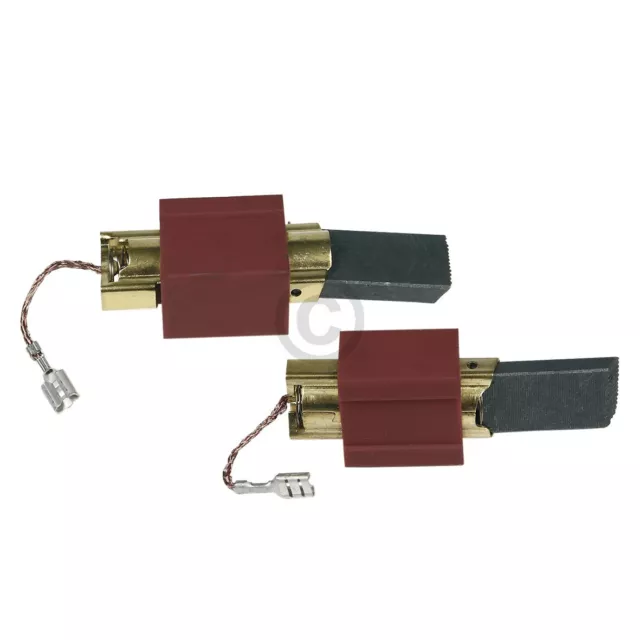 2 Carboni Motore 5x16x30 Mm Per Miele EDITION111 T8812C T8813C - Foto 9