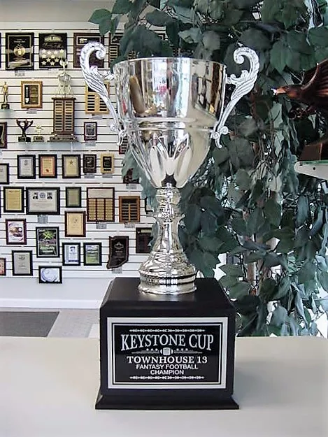 Fantasy Baseball 16 Year Perpetual Award Silver Metal Cup Award Trophy J*Mcj3S