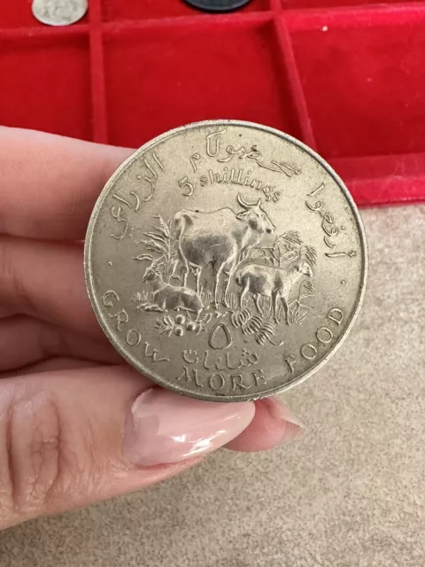 Coin Somalia 5 Shillings 1970 Grow More Food Pm