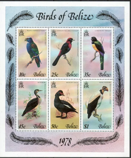 Belize 1978 QEII Birds set of 6 mini sheet  MNH