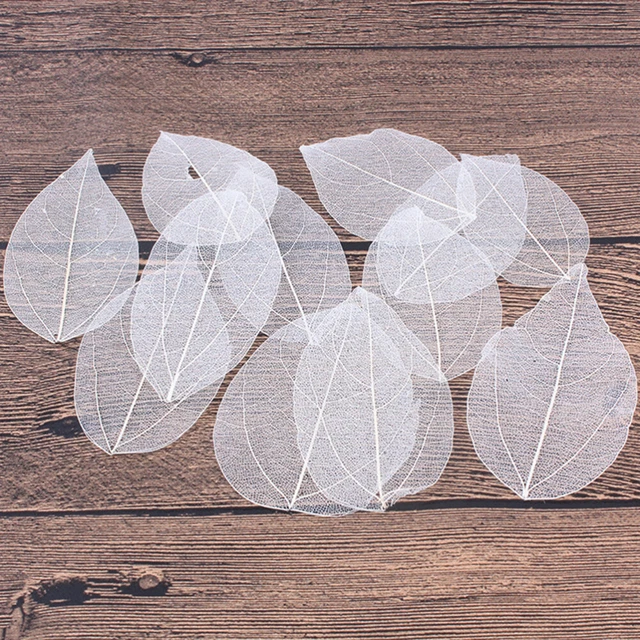 Accesorios de marcador hojas esqueléticas artificiales flores secas 6 piezas