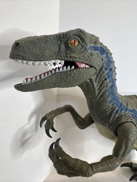 JURASSIC WORLD DINOSAUR Super Colossal Velociraptor Blue Mattel 2018 3 ...