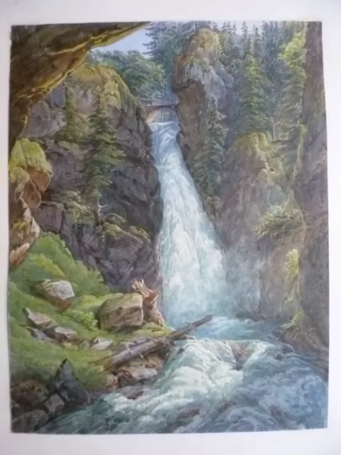 Wolf Fall Silesia Magnificent Watercolor Professor Plitt