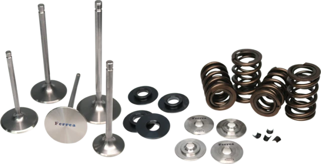 Ferrea Dual Valve Spring Kit (KT4047) for Toyota 2JZ High Boost Turbo