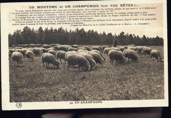 99 Moutons  Le Berger Et Les Moutons   400  Etc