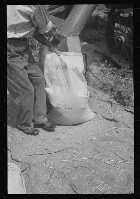 Sacking oats Brookeville Maryland 1930s Historic Old Photo 3