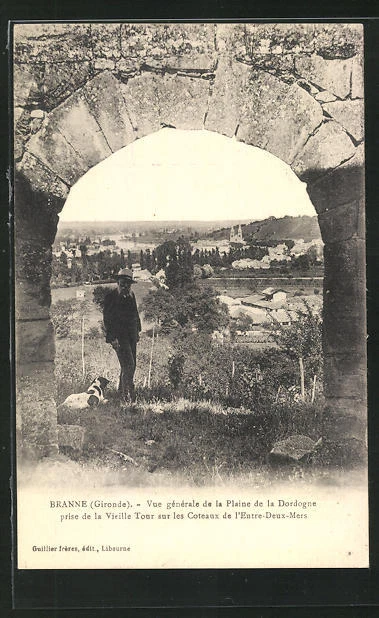 CPA Branne, Vue génerale de la Plaine de la Dordogne prise de la Tour sur les C