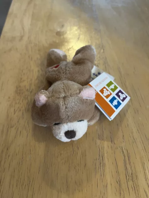 BNWT Forever Friends Tiny Plush Toy Bear Sucker Window Cling New Tagged Cute