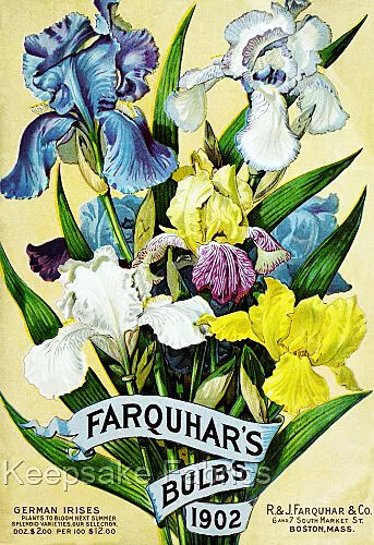 German Irises Seed Packet Quilt Block Multi Szs FrEE ShiPPinG WoRld WiDE (819B