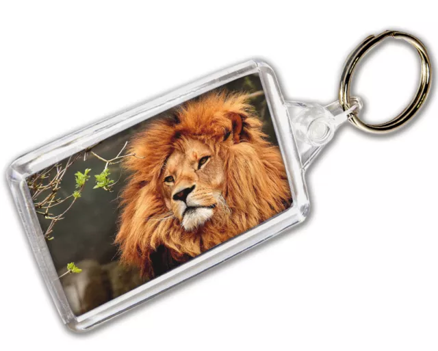 Lion Keyring Photo Keychain - Gift - Birthday - Stocking Filler