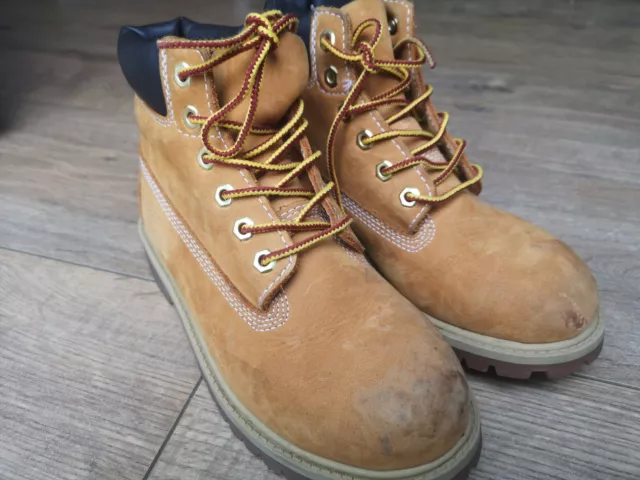 Boys Tan Suede Timberland Boots