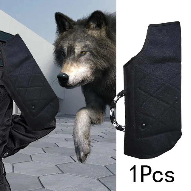 Housse de Dressage pour Chien, épaissie, avec Poignée Confortable, Résistante