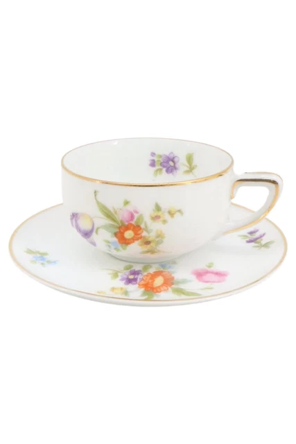 ? Taza de porcelana y plato inferior Rosenthal - ¿colorido hechizo floral?