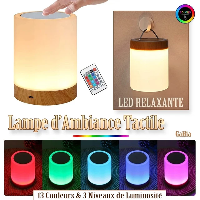 Lampe D'ambiance Tactile RGB Portable - Multicolore, Commande Tactile, USB - Veilleuse Relaxante Moderne