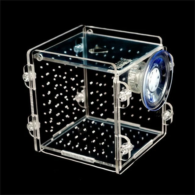 Fish Tank Breeding Isolation Box Aquarium Acrylic Incubator Baby Reptile Cage