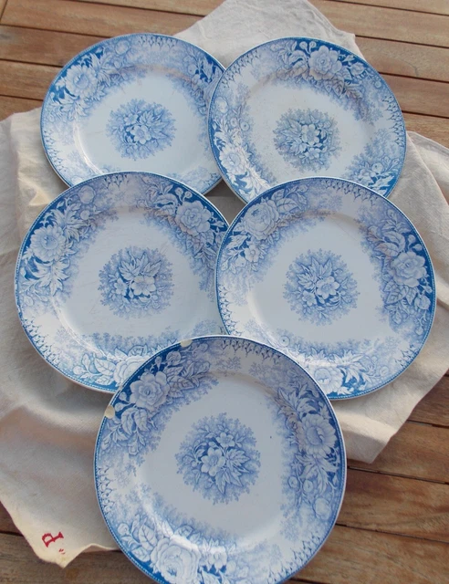 5 Anciennes Assiettes Plates Fleurs Ff Pexonne 19Eme Bleu Terre De Fer St Amand