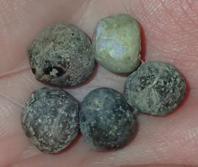 5 Ancient Roman Iridescent Glass beads, 9.5-10.5mm, 1800+ Years Old, #S5633