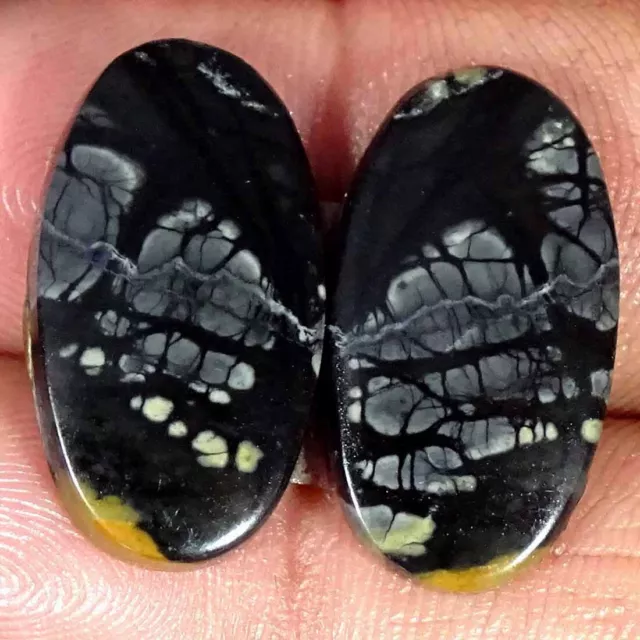 19.40Cts Natural Picasso Jasper Cabochon Loose Gemstone Oval Pair