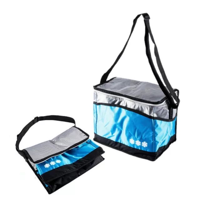 Lightweight Home Master® Insulated Cooler Bag Multi Purpose Collapsible 30cm