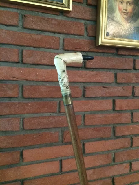 Antiker Spazierstock Walking Stick Canne 19. Jahrhundert Beingriff