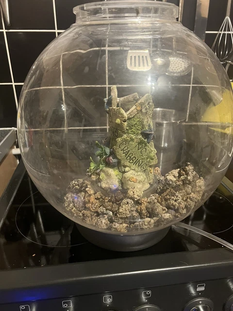 biorb classic 30l fish tank