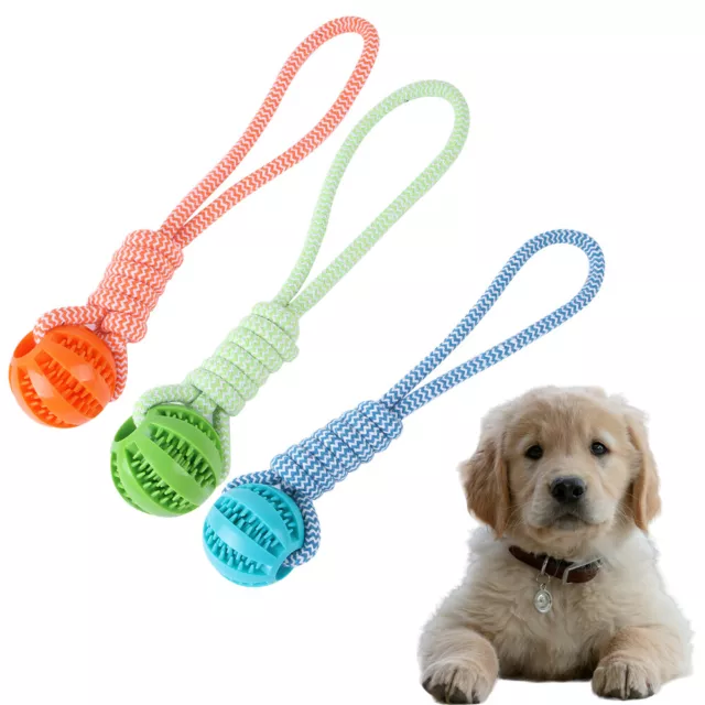 Hunde Futterball mit Seil - Hundespiel Wurfseil Apportierspiel Kauspielzeug Hund