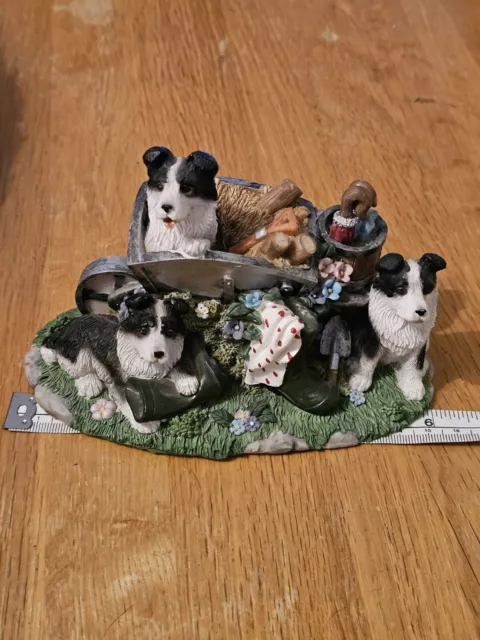 Border Collies In The Garden