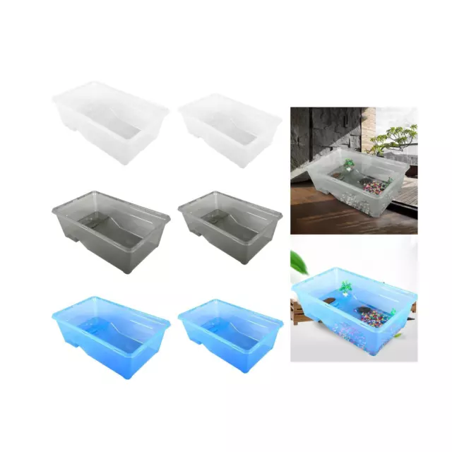 Turtles Tank Aquarium Reptile Habitat Hatching Area Resting Climbing Reptile