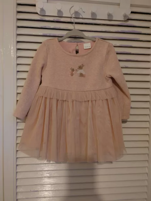 Baby Girl Next 6-9 Months Occasion Party Dusty  Pink Long Sleeves Tutu Dress