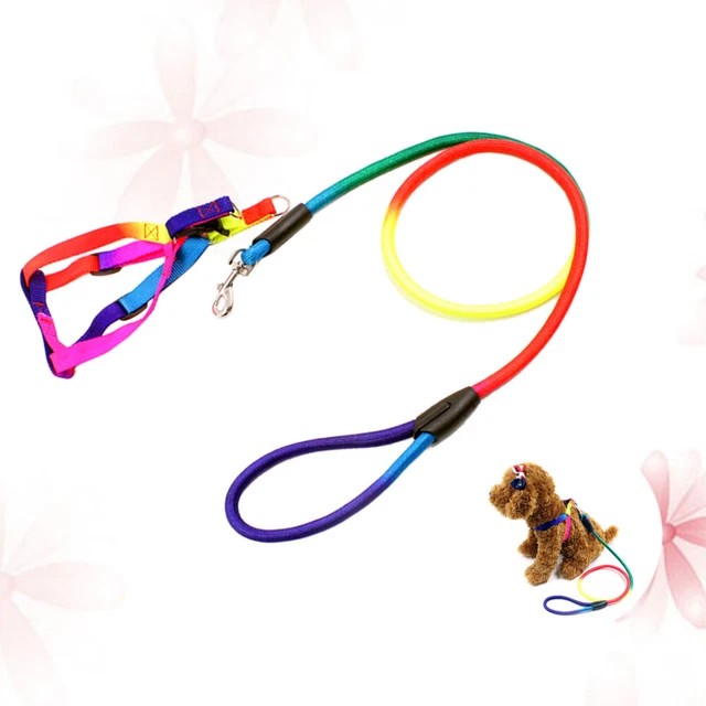 Guinzaglio per cane piccolo guinzaglio da allenamento cinghia trapezoidale filo contorto