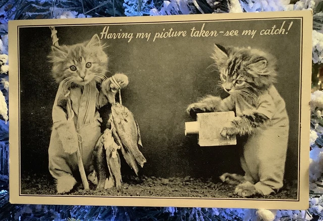 Anthropomorphic Cat Fishing Postcard Kitten With Camera Vintage