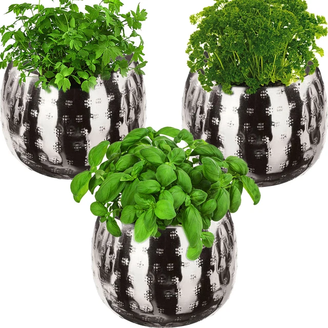 🌿 3 x KRÄUTERTOPF 🌿 Blumentopf Set Garten Balkon Blume Pflanztopf Kübel Gross