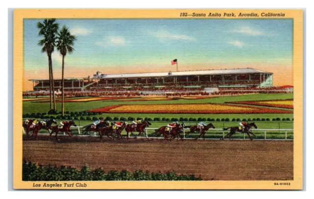 Santa Anita Park L.A. Turf Club Arcadia CA Vintage Linen Postcard Unposted Horse